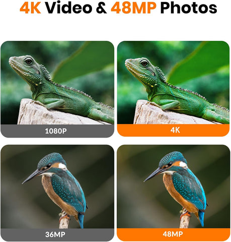 4K High-Performance Trail Camera for Outdoor Wildlife
