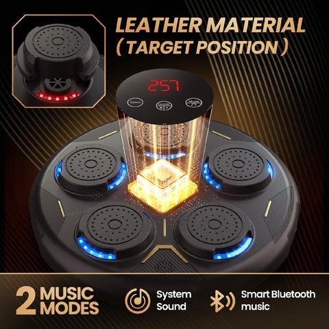Wall Mounted Music Boxing Machine with Gloves