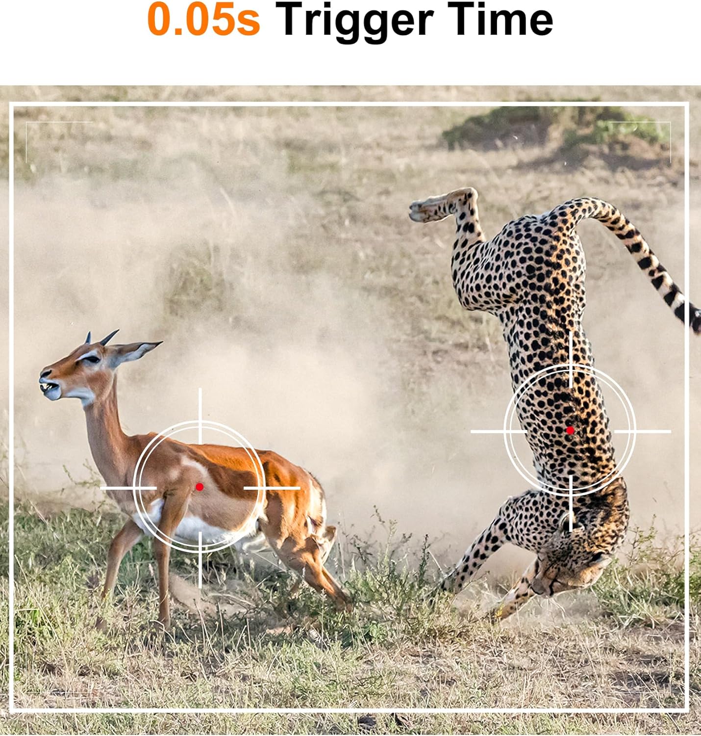 4K 48MP Trail Camera for Capturing Wildlife