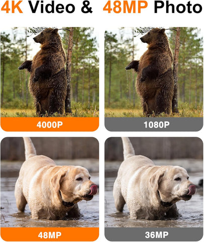 4K 48MP Trail Camera for Capturing Wildlife